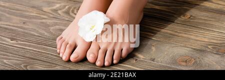 female feet with pastel pink toenails and white eustoma flower on brown wooden surface, banner Stock Photo