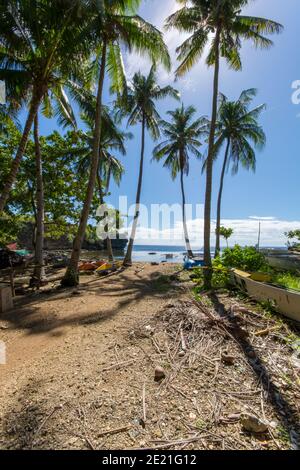 Vertical shot of boats and palm trees on the sunny beach in the Philippines Stock Photo