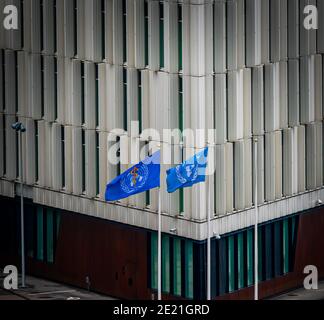 Flags of the WHO and UN waving in the wind outside Copenhagen headquarters. Stock Photo