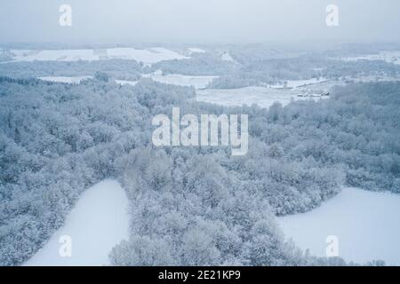 White background texture of a frozen forest at winter, top earial view Stock Photo