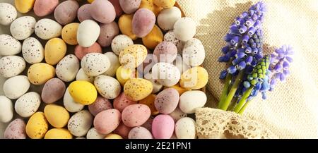 Spring Easter background with ester eggs and spring blue flowers Stock Photo