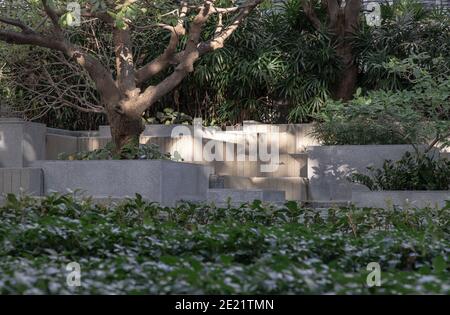 A beautiful view park where the sun's rays pass through the trees. Selective focus. Stock Photo