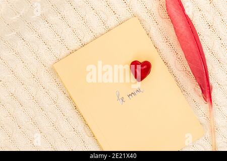 Valentine's day creative concept be mine, love theme, composition with notebook, red heart and colored feather photo Stock Photo
