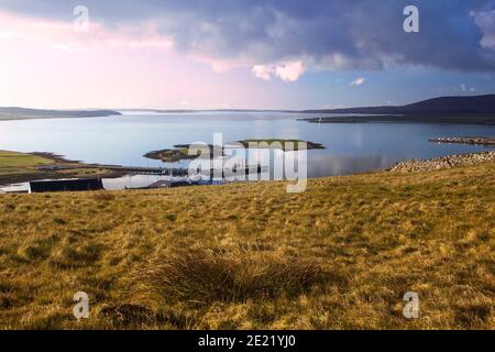 Aerial view from top of hill above Stromness on Orkney islands in Scotland with two small islands in background and golden grass in foreground