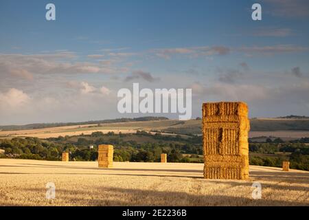 Stacks of straw bales near the village of Barford St. Martin in the Nadder Valley, Wiltshire. Stock Photo
