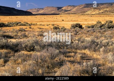 Diamond Valley ranchland, Diamond Loop National Back Country Byway, Harney County, Oregon Stock Photo