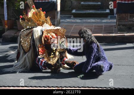 Balinese locals performing Barong, a mythical lion-like creature at a traditional ceremony in Bali. Stock Photo