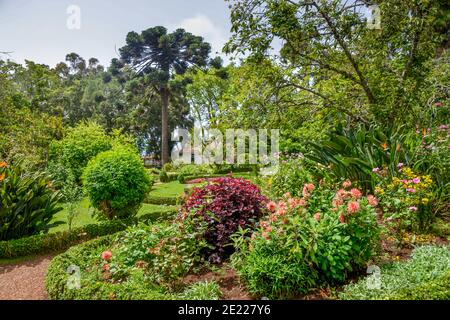 Botanischer Garten, Quinta do Palheiro, Funchal, Madeira, Portugal Stock Photo