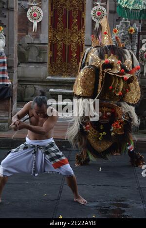 Balinese locals performing Barong, a mythical lion-like creature at a traditional ceremony in Bali. Stock Photo