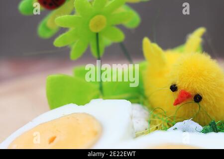 Easter chick and boiled chicken eggs, decorative composition for congratulations on Easter Stock Photo