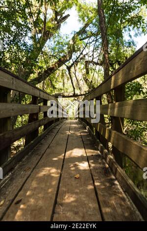 A suspension bridge crosses a river in a central Florida park as a part of a longer wooden causeway above the wetlands Stock Photo