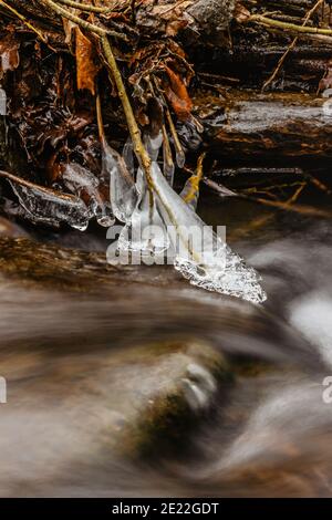 Close up of icicles near wild stream.Snowy winter scenery.Icicle in nature ice background.Cold slippery seasonal weather. Row of frosty icicles. Stock Photo