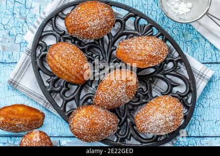Traditional Madeleines cakes dusted with icing sugar - overhead view Stock Photo