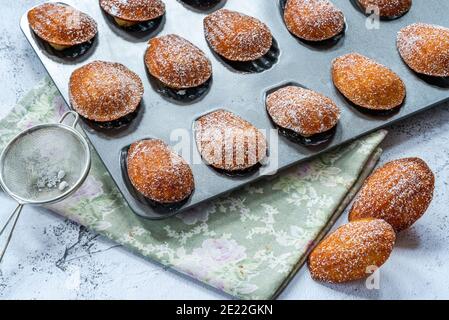 Traditional Madeleines cakes dusted with icing sugar Stock Photo