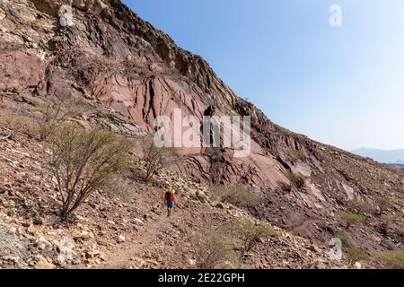 Male tourist hiking on rocky trail in Hatta, Hajar Mountains, United Arab Emirates. Limestone and dolomite rocks with barren acacia trees. Stock Photo