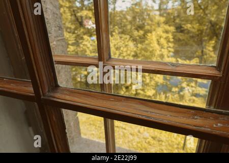 View from the window to the autumn forest. Stock Photo