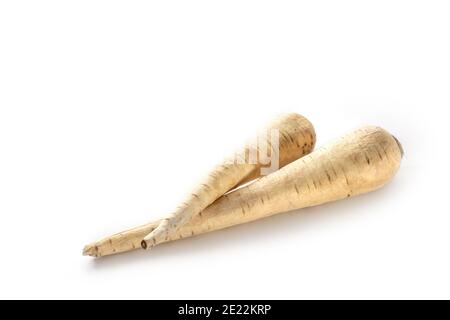 Two raw organic parsnip roots isolated with shadows on a white background, healthy vegetables, copy space, selected focus, narrow depth of field Stock Photo