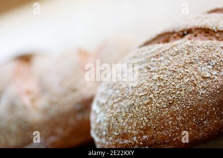 Wholegrain rye rustic bread in a bakery. Selective focus. Stock Photo