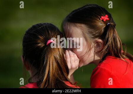 Sisters telling secrets friends by whispering in ears to each other whisper quiet talk Stock Photo