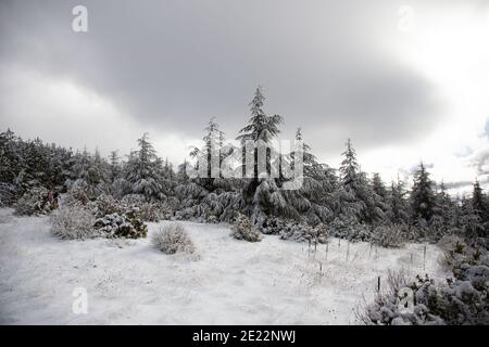 Winter scenes in the mountains of Provence, France. Stock Photo