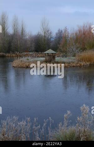Wooden bird watching hide reflected on the lake in Devon, UK Stock Photo