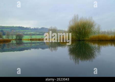 Trees in winter reflected on the lake in East Devon, UK Stock Photo