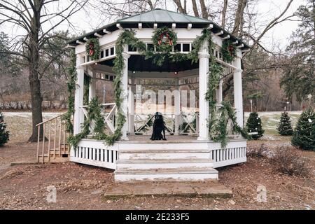 Black labrador retriever dog sits on a whitewashed gazebo in a park, decorated for the Christmas holiday Stock Photo