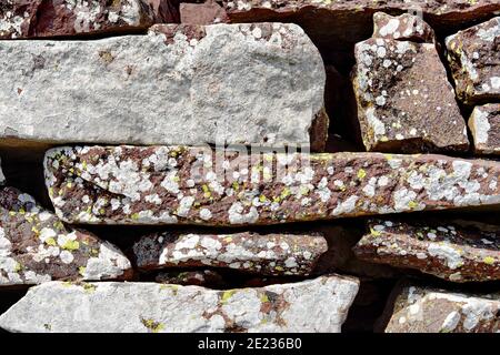 Green lichen growing on red sandstone rocks at Midzor mountain in Serbia. Juxtaposition of colors and textures as life manages to thrive in the harsh Stock Photo