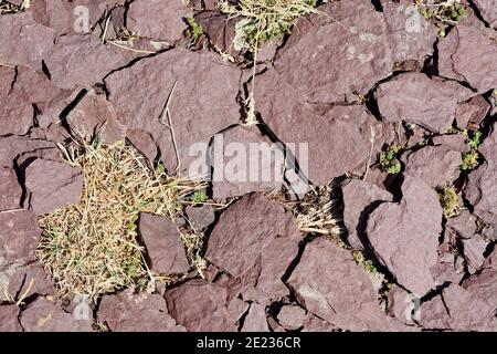 Green lichen growing on red sandstone rocks at Midzor mountain in Serbia. Juxtaposition of colors and textures as life manages to thrive in the harsh Stock Photo