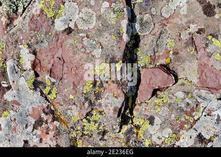 Green lichen growing on red sandstone rocks at Midzor mountain in Serbia. Juxtaposition of colors and textures as life manages to thrive in the harsh Stock Photo