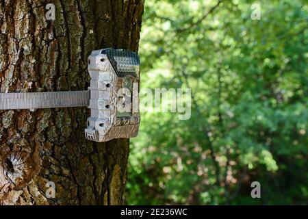 spy camera trail cam