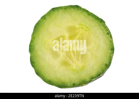 Close macro image of a single slice of cucumber on a white background Stock Photo