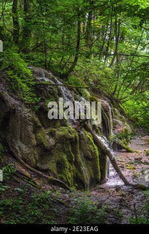 Closeup on green mossy hill with waterfalls and cascades of water in lush wetland of Plitvice Lakes National Park, UNESCO World Heritage in Croatia Stock Photo