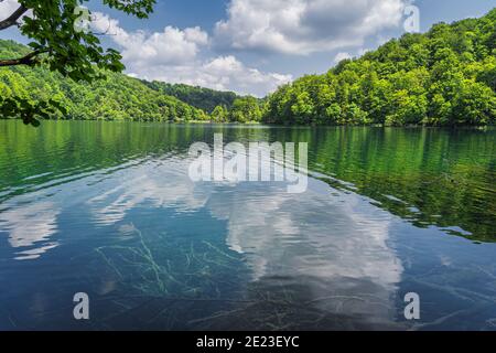 Beautiful turquoise water with puffy clouds reflected in a lake. Green lush forest, Plitvice Lakes National Park UNESCO World Heritage in Croatia Stock Photo
