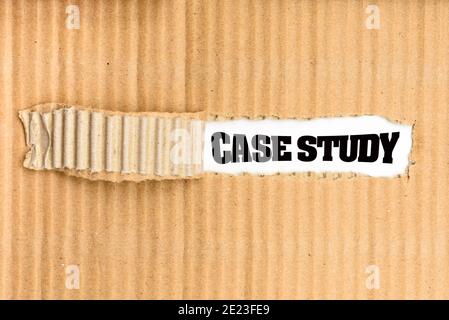 A folder of documents with a Case Study written on its cover, torn. Stock Photo