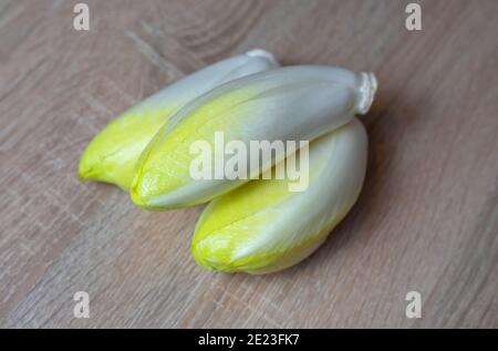 Chicory, endive, succory. Witlof vegetable. Fresh chicory on a wooden table Stock Photo