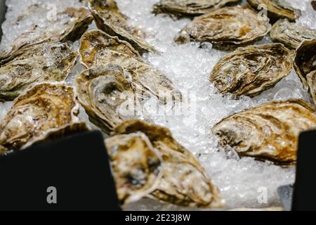 Oysters lie on the counter on ice in store. Oysters for sale at the seafood market. Fresh oysters selective focus. Close up. Stock Photo