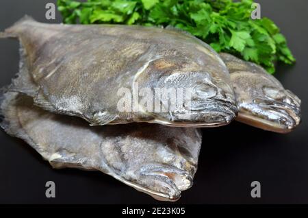 European flounder or platichthys flesus. Three frozen fish with fresh greens on a black background Stock Photo