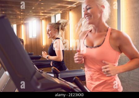 Happy sportswomen exercising on treadmills during fitness workout in gym Stock Photo