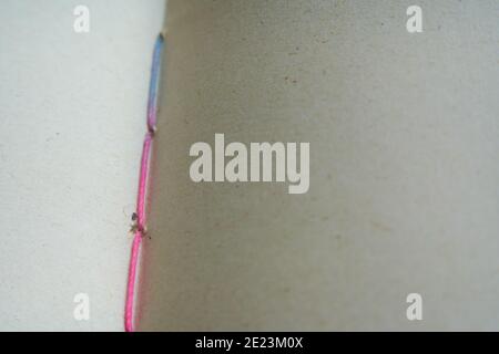 Closeup shot of open notebook blank sheets sewed with colorful thread Stock Photo