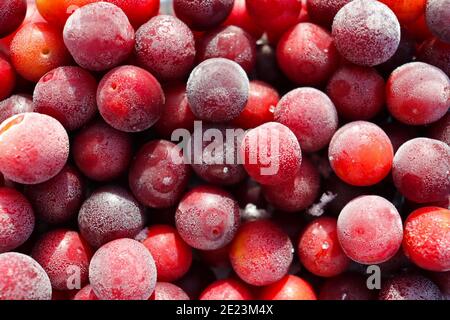 Small frozen red cherries in a container Stock Photo