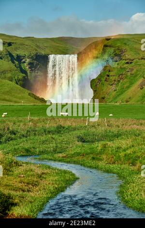 Calm green valley with sheep pasturing on green meadow against waterfall with rainbow in sunlight Stock Photo