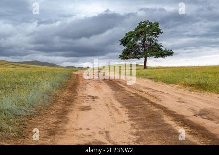 A wide road stretching into the distance and lonely tree against the background of endless fields and hills on cloudy summer day on Olkhon Island. Stock Photo