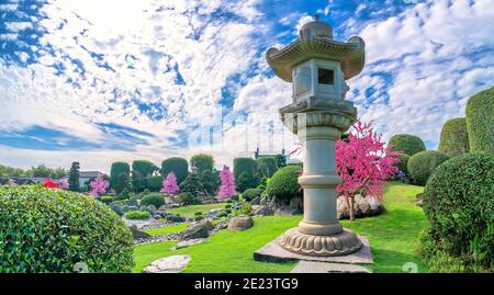 Ecological Garden in designed feng shui with aquarium koi, cypress, pine, water and ancient trees bearing traditional culture Japanese. Stock Photo