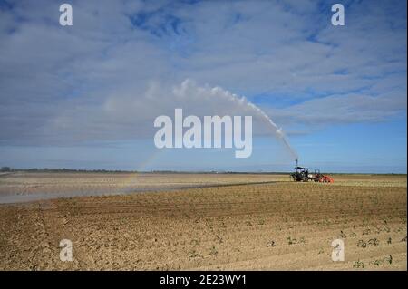 Spray from irrigation pump creates colorful rainbow over planted fields in Homestead, Florida on sunny winter morning. Stock Photo