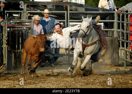 Cowboys compete in Rodeo steer wrestling action Stock Photo