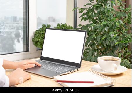 MockUp Using Laptop With Blank Screen. Close up side view of female hands working on laptop with blank white screen standing on wooden desk. Mock up, Stock Photo