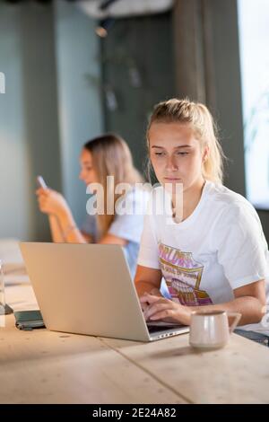 Young woman using laptop in cafe Stock Photo