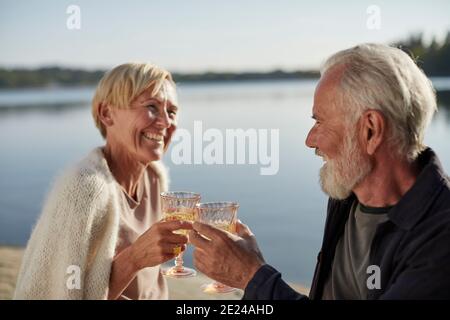 Smiling couple having wine Stock Photo