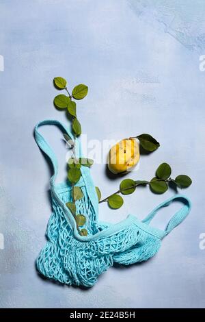 Quince apple, quince tree branches and blue mesh bag on blue background. Directly above view. Fruit and leaves have natural imperfections, spots and s Stock Photo